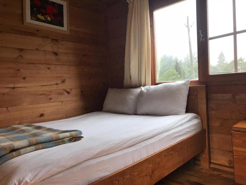 Kardelen Evleri̇ Chalet Ayder Yaylasi