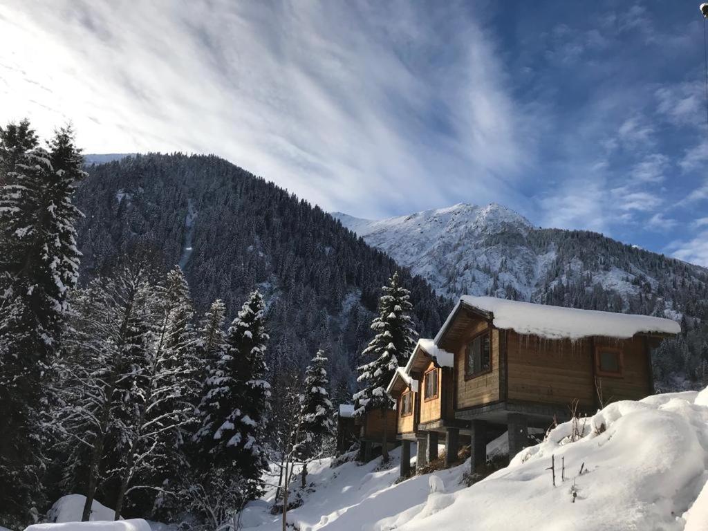 Chalet Kardelen Evleri̇ *