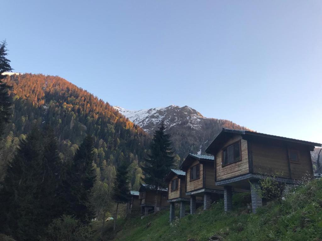 Chalet Kardelen Evleri̇ Ayder Yaylasi